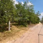 Bán lô đất vườn full cà phê và tiêu có thổ cư 680tr/2000m2 sẵn 300m2 thổ cư đường bêtông 0938 609 *** - Ảnh thu nhỏ 2