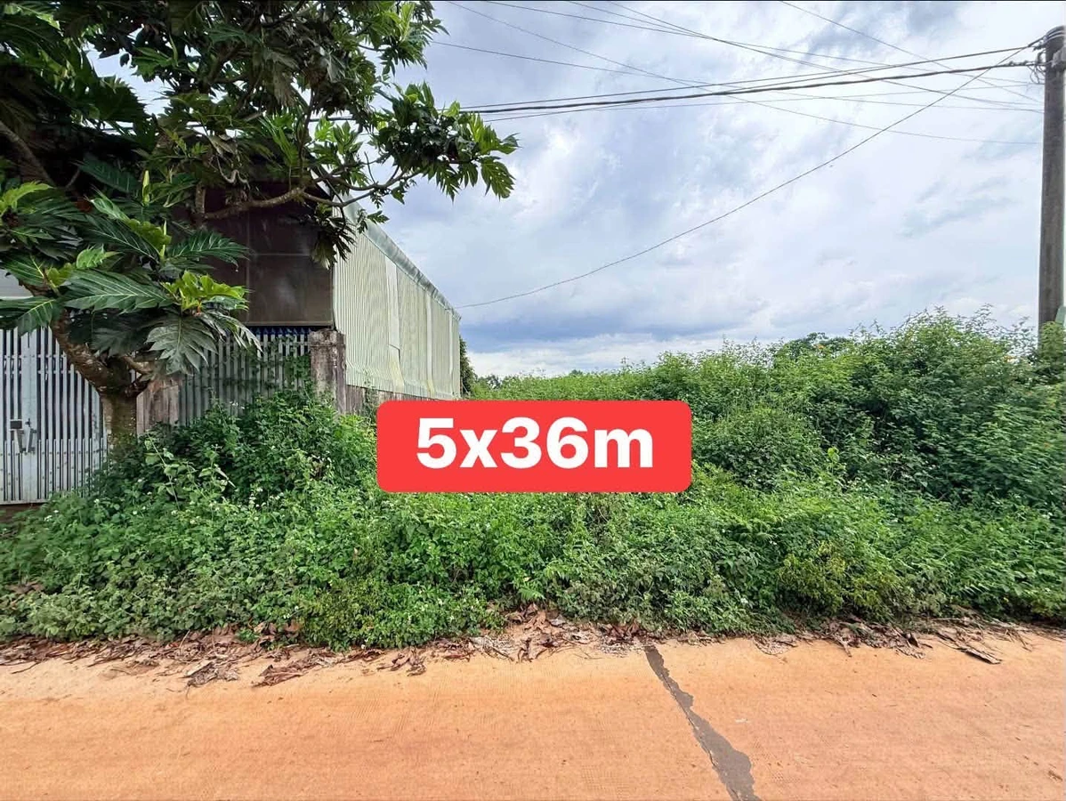 Bán 2 lô đất hẻm Ngô Quyền, Gia Lai, 6x22m và 5x36m - Ảnh thu nhỏ 3