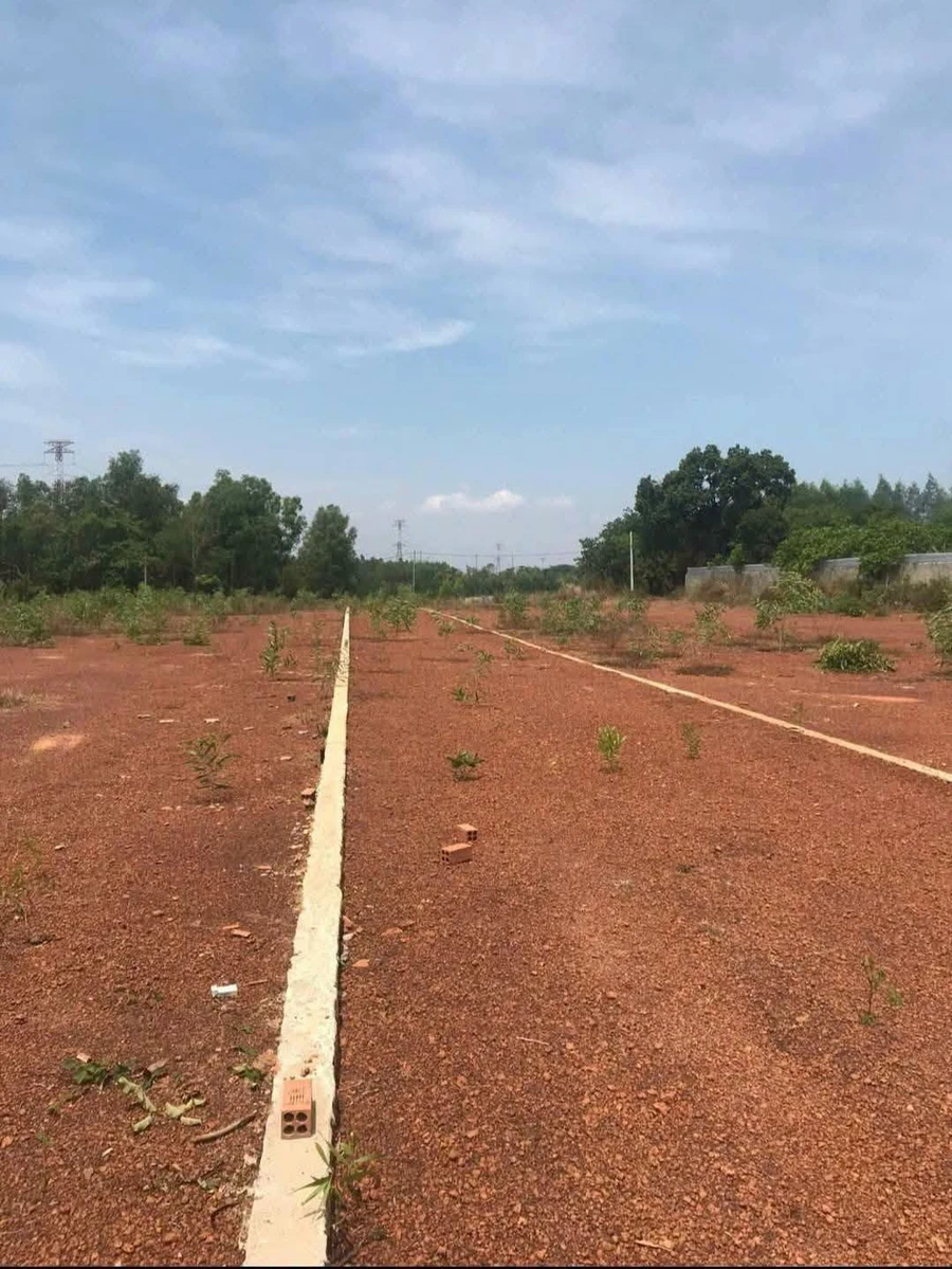 Bán đất CLN 1000m² Bàu Hàm Trảng Bom - Ảnh thu nhỏ 4