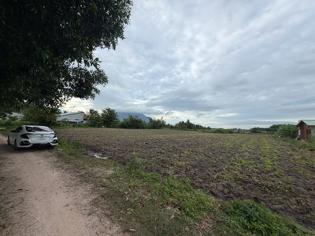 Bán đất thổ cư 5x110m Phan Dương, Tây Ninh 280 triệu - Ảnh thu nhỏ 2