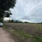 Bán đất thổ cư 5x110m Phan Dương, Tây Ninh 280 triệu - Ảnh thu nhỏ 2