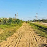 Bán đất cây trồng 190m2 sổ riêng Cần Giờ 180 triệu - Ảnh thu nhỏ 3