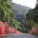 Bán căn đơn lập cuối cùng của phân khu Valley Park, giá 22 tỷ - Ảnh thu nhỏ 9