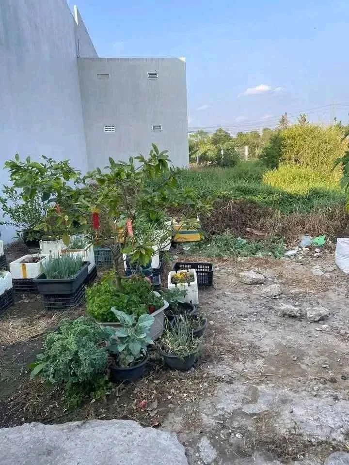 Bán đất hẻm ôtô 80m² Nguyễn Văn Rành, P7 Long An - Ảnh thu nhỏ 3