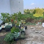 Bán đất hẻm ôtô 80m² Nguyễn Văn Rành, P7 Long An - Ảnh thu nhỏ 3