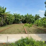Bán nền đất 114m² mặt kênh Huỳnh Thị Luông Mỹ Lộc 750 triệu - Ảnh thu nhỏ 3