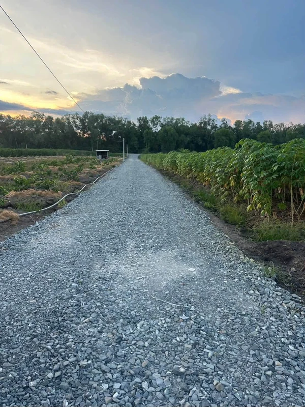 Bán đất 1000m2 (11x90) xã Tân Thành, Thủ Thừa, Long An giá 490 triệu