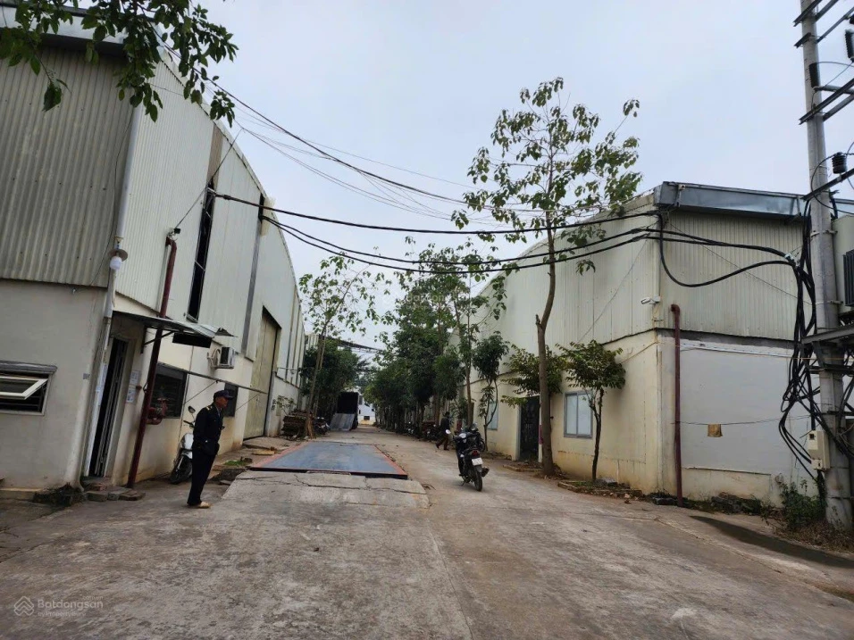 Cần tiền bán kho xưởng Hữu Lũng Lạng Sơn. 15000m2 có 13000m2 nhà xưởng. Có cả đất thổ cư, giá mềm - Ảnh thu nhỏ 3