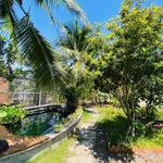 Bán nhà vườn 2 mặt tiền 534m² Nha Trang 4.7 tỷ - Ảnh thu nhỏ 1