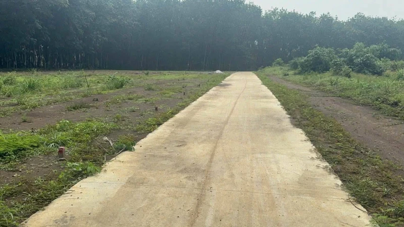 Bán đất nền 300m2, Phường An Lộc, Đồng Nai 149 triệu