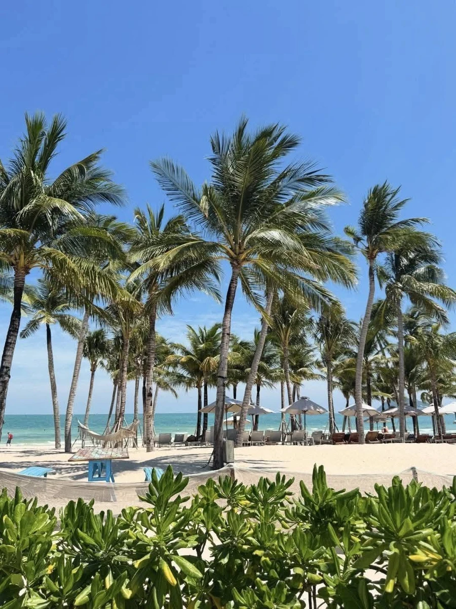 Bán biệt thự resort 5 sao 360m² chưa đến 30 tỷ - Ảnh thu nhỏ 2