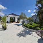 Bán biệt thự sân vườn 652m² 4PN Mỹ Hạnh Nam Đức Hòa - Ảnh thu nhỏ 4