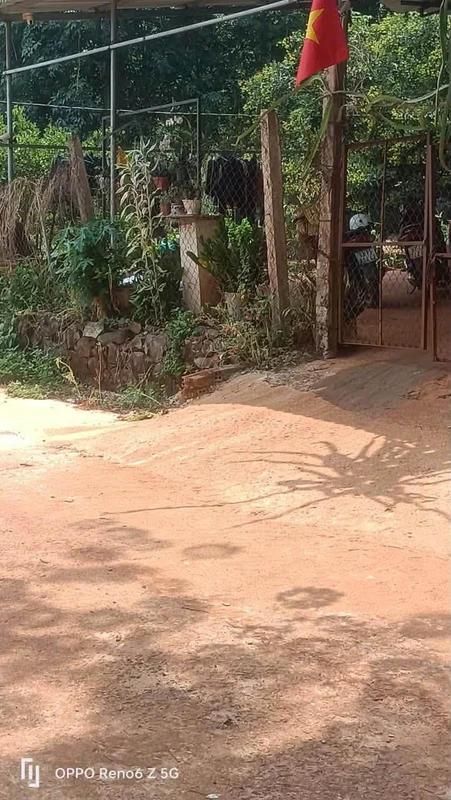 Bán lô đất vườn 4 sào gần Bình Long, Bình Phước