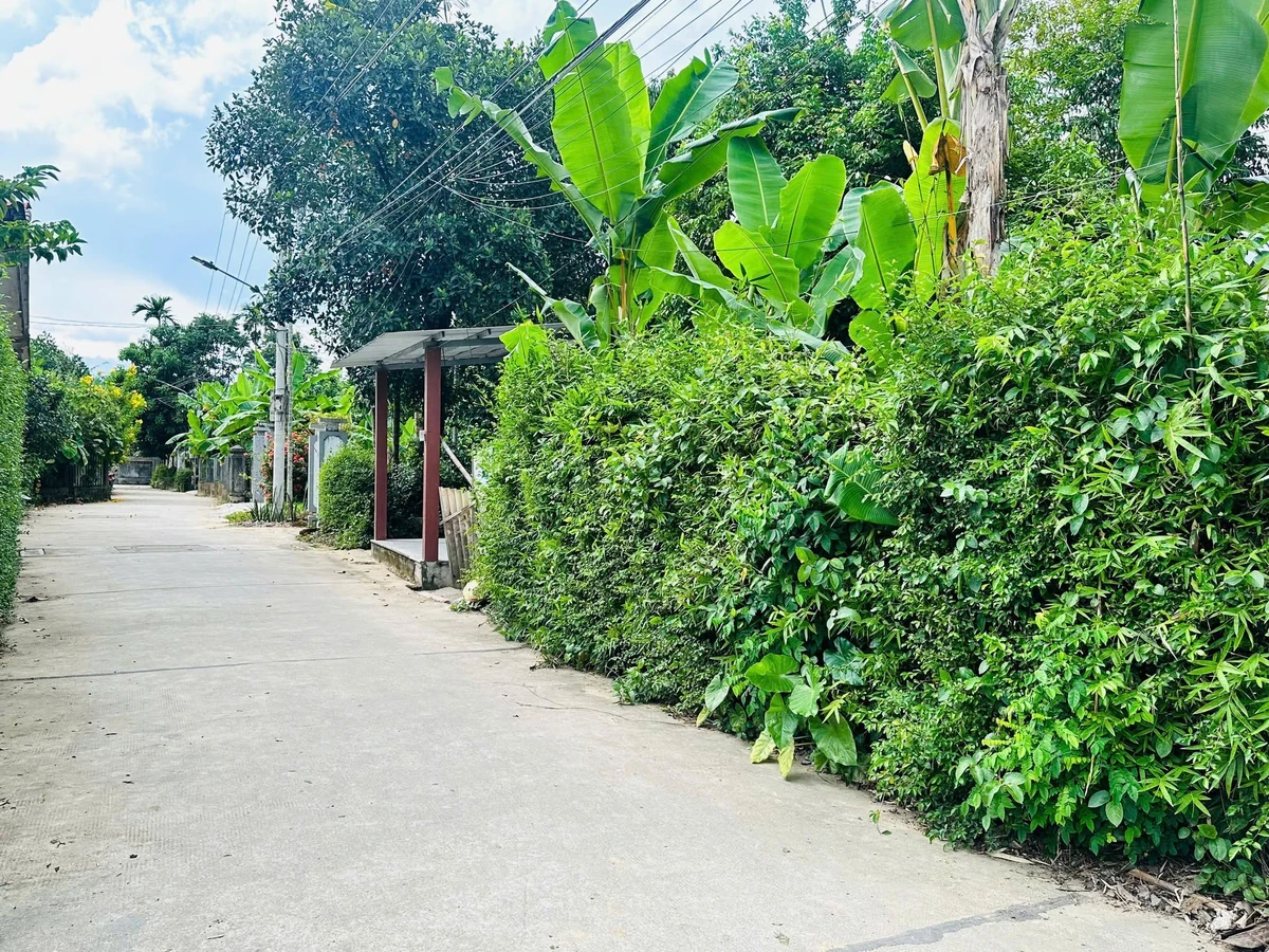 Bán đất 2 mặt tiền Kim Long 80m² giá 1,15 tỷ, gần chùa Linh Mụ, Huế - Ảnh thu nhỏ 3