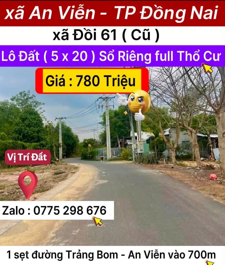 Bán đất An Viễn, Đồng Nai, 100 m², 780 triệu - Ảnh 1