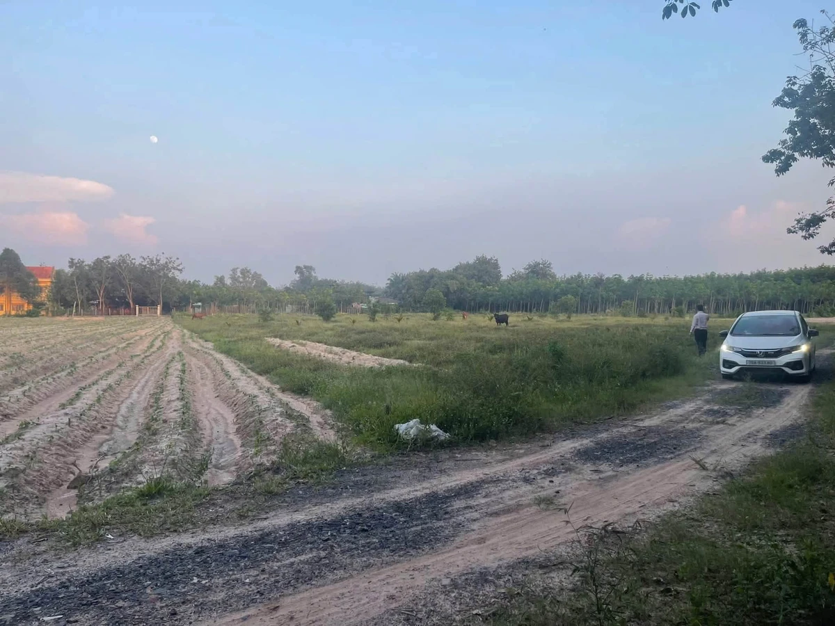 Bán đất CLN 1.000 m² Tân Biên Tây Ninh 250 triệu - Ảnh thu nhỏ 2