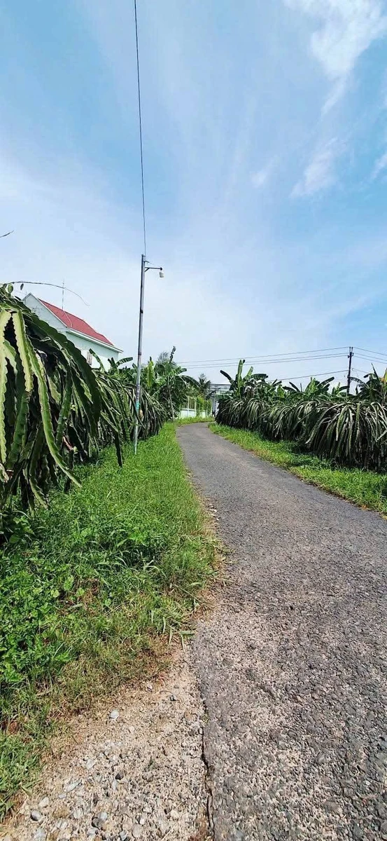 Bán đất thổ cư 600m² Tuyên Quang, Lâm Đồng 550 triệu - Ảnh thu nhỏ 2