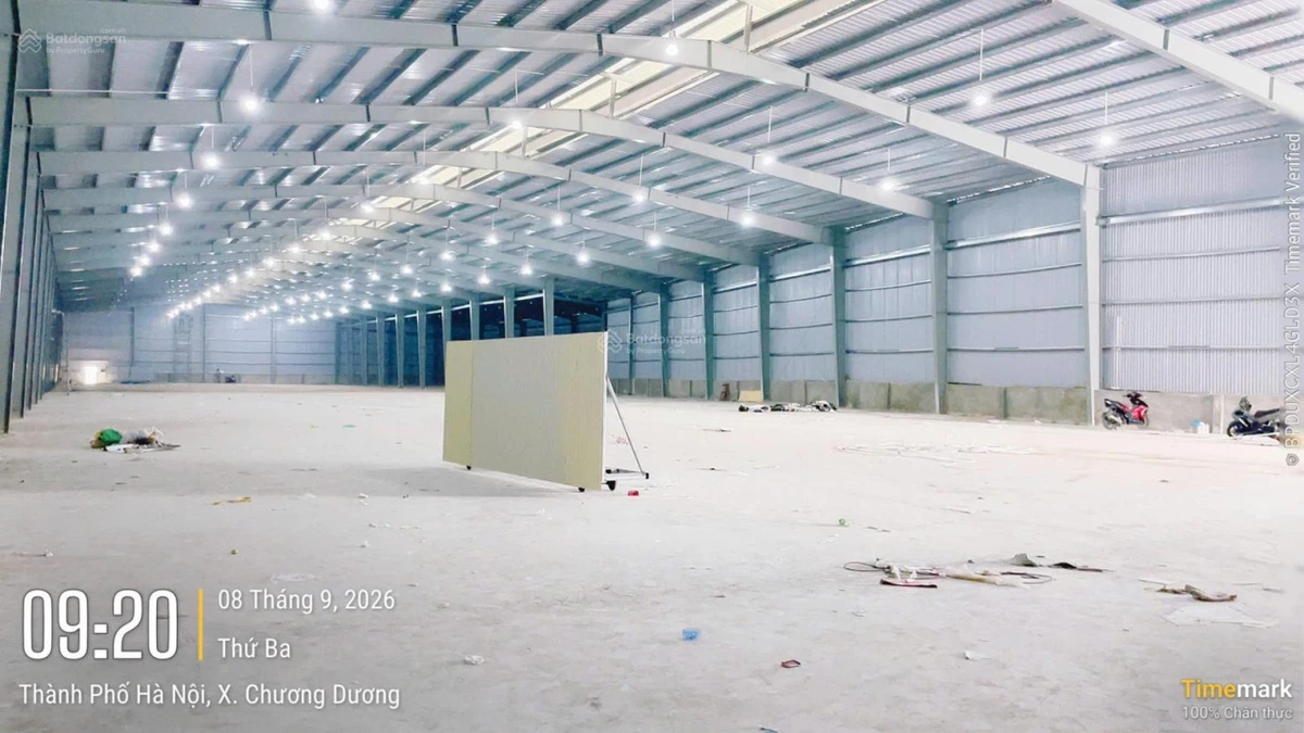 Cho thuê kho xưởng 5.500m2, PCCC tự động gần QL1A Thắng Lợi, huyện Thường Tín, Hà Nội - Ảnh thu nhỏ 2