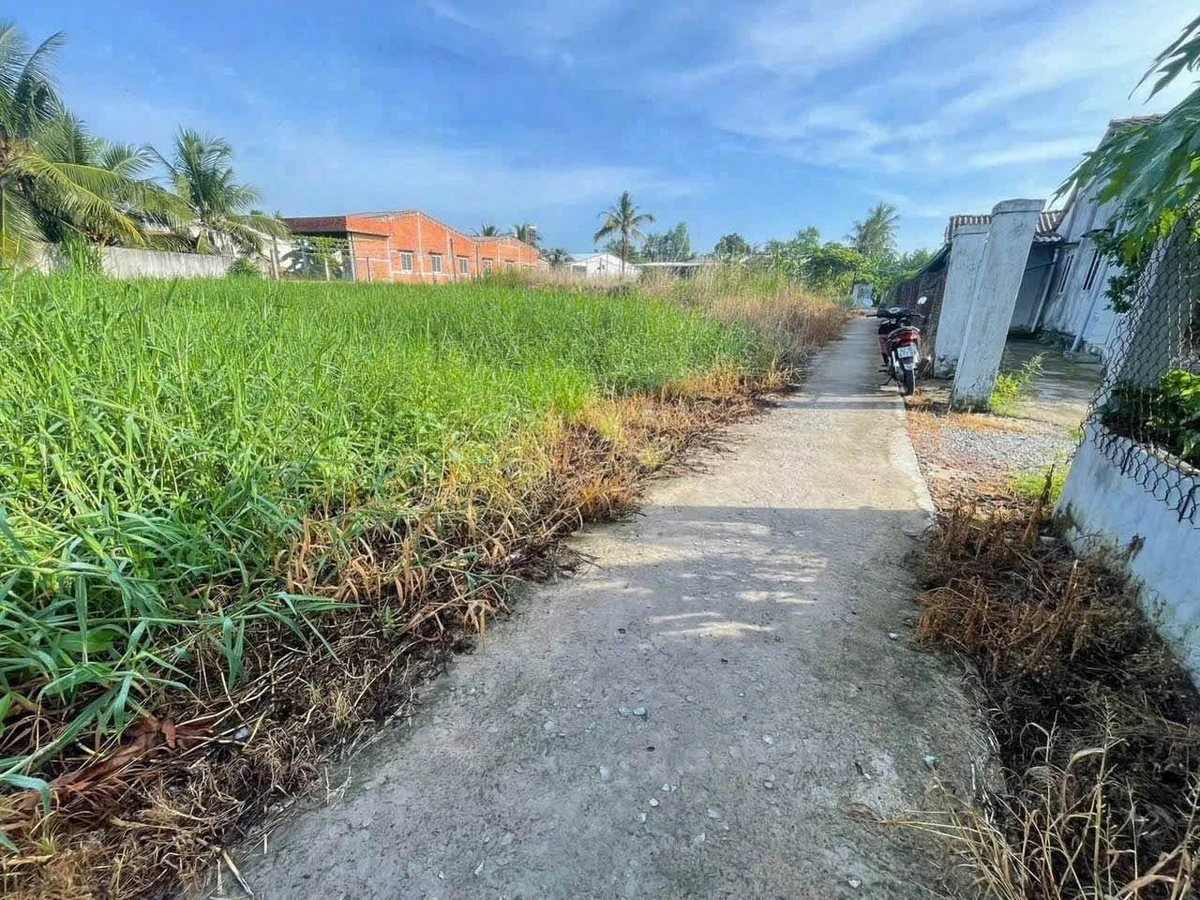 Bán đất nền 105m² xã Tầm Vu Tây Ninh 320 triệu - Ảnh thu nhỏ 5