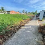 Bán đất nền 105m² xã Tầm Vu Tây Ninh 320 triệu - Ảnh thu nhỏ 5