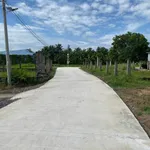 Bán đất thổ cư mặt tiền đường bê tông 5x33m, Hòa Khánh Đông, Đức Hòa, Long An - Ảnh thu nhỏ 3