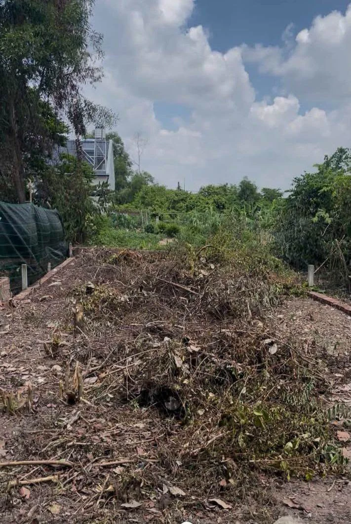 Bán đất Phú Đông 104m2, giá 1 tỷ 6 - Ảnh thu nhỏ 3