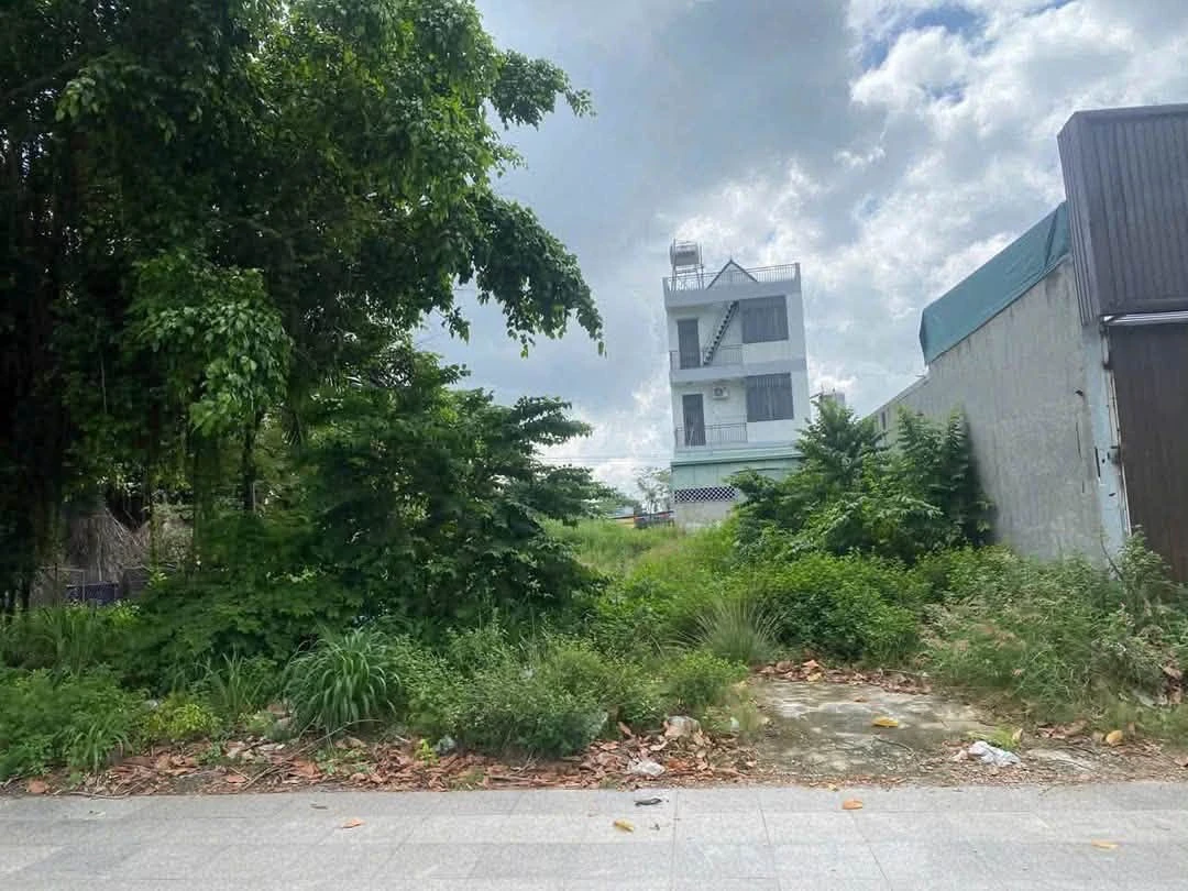 Bán đất mặt tiền Hùng Vương 320 m² Bình Chánh - Ảnh thu nhỏ 2