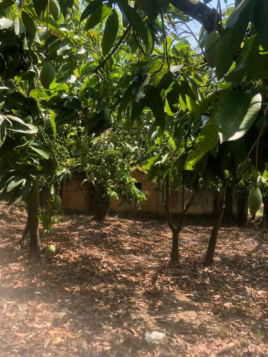Bán đất vườn 1711 m² gần hồ Trị An, Đồng Nai - Ảnh thu nhỏ 4