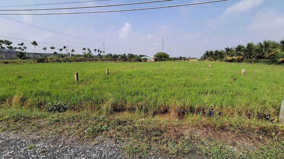 Bán 1.000m2 đất thổ cư và đất lúa gần ngã tư Lạc Tấn, giá 1,25 tỷ - Ảnh 1