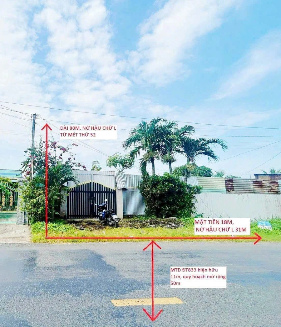 Bán đất 1916m2 mặt tiền đường nhựa 833 Bình Lãng, Tân Trụ, Long An giá 6,5 tỷ - Ảnh thu nhỏ 2