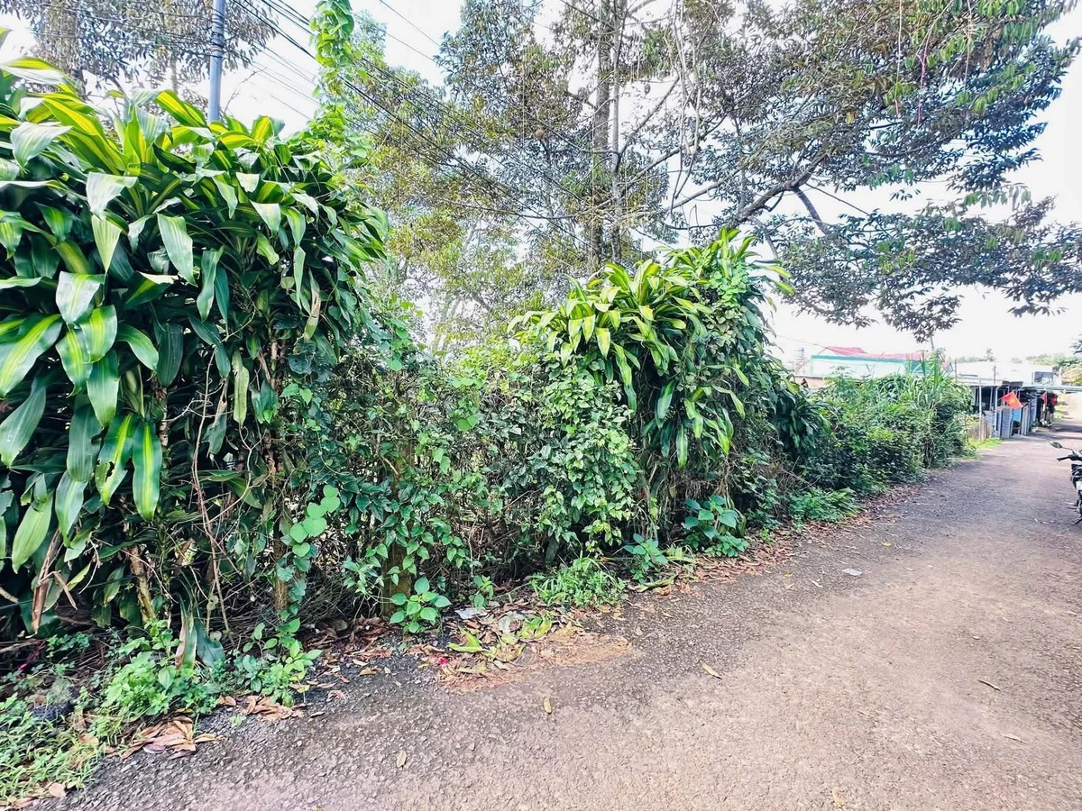 Bán đất trung tâm Lộc Thắng Bảo Lâm 135m² 899 triệu - Ảnh thu nhỏ 2