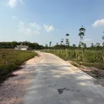 Bán đất 2500m2 tại Chánh Phú Hoà Bến Cát Bình Dương - Ảnh thu nhỏ 1