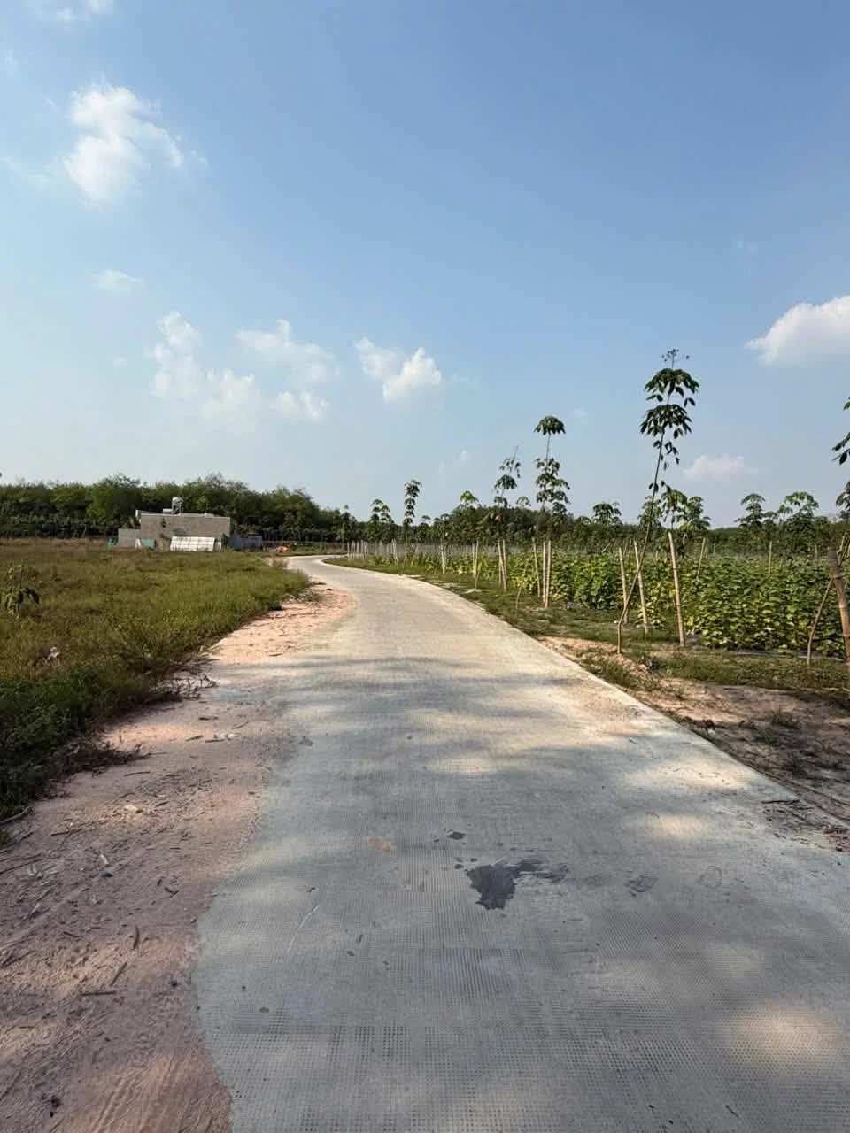 Bán đất 2500m2 tại Chánh Phú Hoà Bến Cát Bình Dương - Ảnh 1