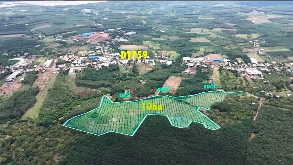 Bán 10ha đất vườn sầu riêng Thái 1600 cây, 2 tỷ/ha, Đắk Ia, Bình Phước (cũ), Đồng Nai - Ảnh thu nhỏ 2