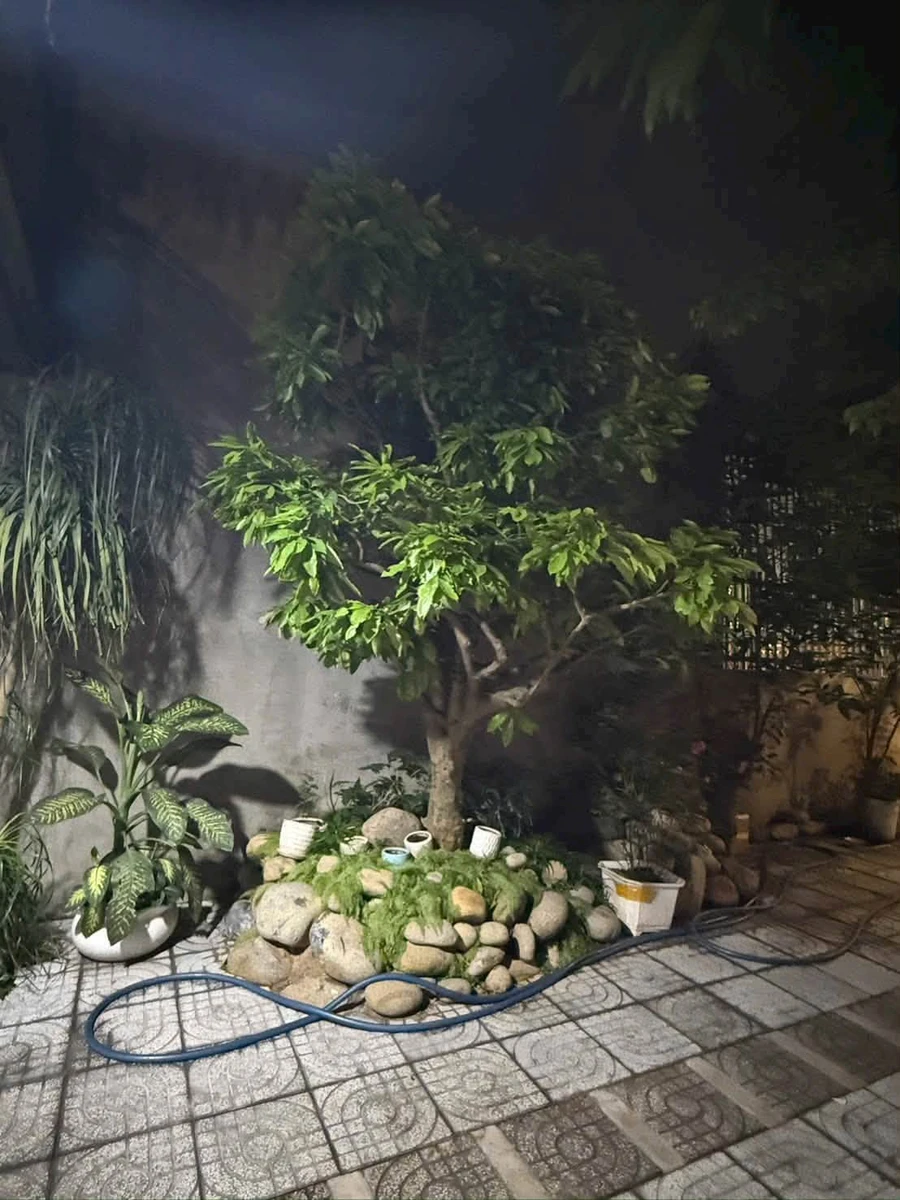 Bán nhà 1 lầu Phú Lợi Bình Dương 173m² giá 6 tỉ - Ảnh thu nhỏ 3