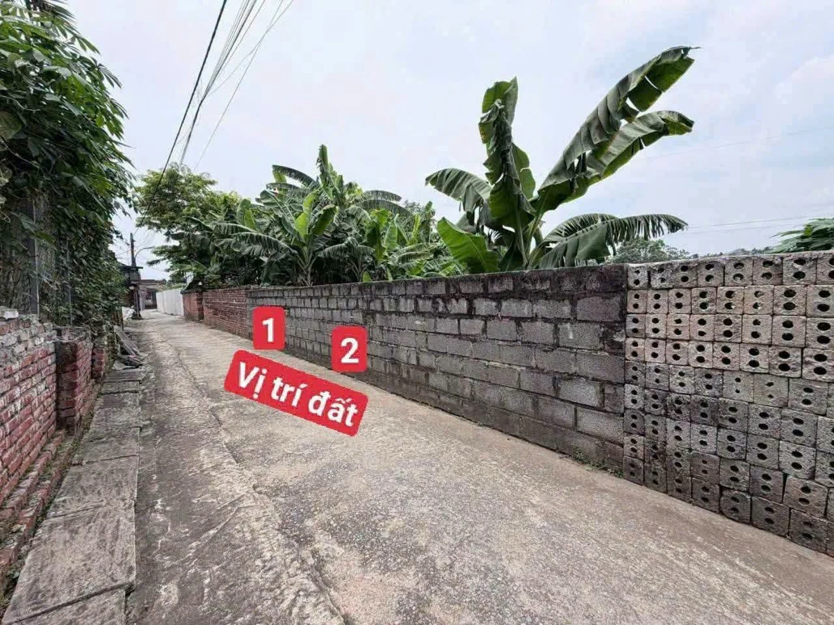 Bán đất nền 80m² Trung Hòa, Phú Nghĩa, Hà Nội, hơn 1 tỷ - Ảnh 1