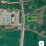 Bán đất ruộng 800m2 gần Làng Rượu Bầu Đá, An Nhơn Tây 120 triệu - Ảnh thu nhỏ 4