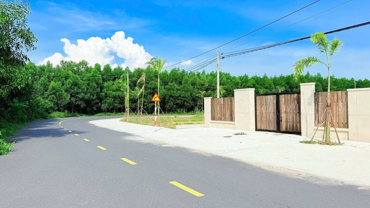 Đất 577m2 gần biển Phước Hải, TP HCM, 2.8 tỷ - Ảnh thu nhỏ 3