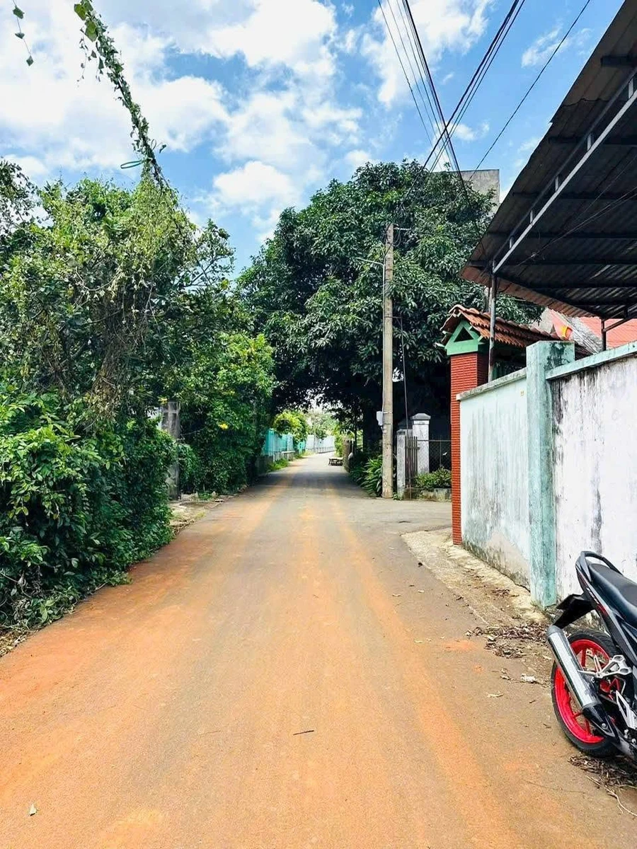 Bán gấp đất vườn 535m² 2 mặt tiền tại Hòa Long, Phường Tam Long, giá 3,2 tỷ - Ảnh 1