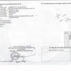 Bán lô đất 100m2 đường Nguyễn Trung Trực, Phường Tuy Hòa. Giá rẻ: 1,6 tỷ - Ảnh thu nhỏ 8