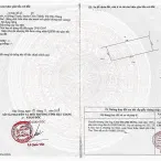 Chính chủ bán 2.135 m2 đất gần bệnh viện số 10, vị trí đẹp sẵn nền, đã ép cọc, sẵn 300m2 thổ cư - Ảnh thu nhỏ 8