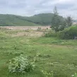 Cần ra nhanh lô đất diện tích 1.153m2 Xã Ninh Tây, Ninh Hòa, Khánh Hòa, có thổ cư - Ảnh thu nhỏ 6