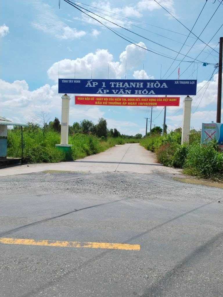 Đất vườn 500m² Thạnh Hòa Bến Lức Long An từ 395 triệu - Ảnh 1