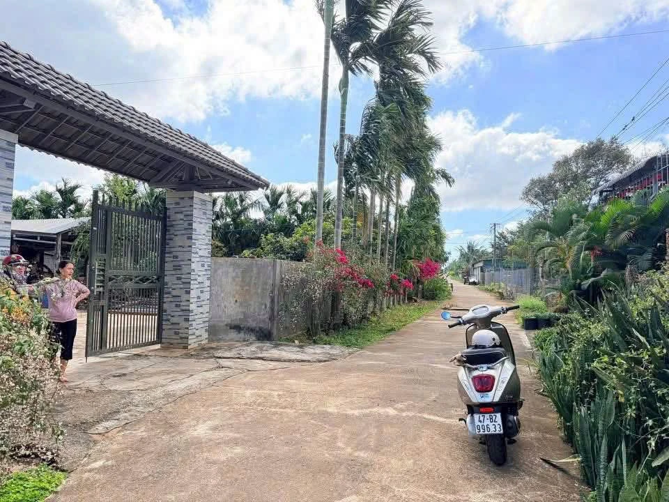 Bán đất nền Ea Kao 210m² giá 695 triệu - Ảnh thu nhỏ 5