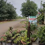 Bán đất Nhà Bè gần trường cấp 1,2 Thạnh Hòa, 650 triệu - Ảnh thu nhỏ 5