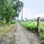 Bán 2 công đất vườn 2 mặt tiền Lợi Bình Nhơn, Tân An 2000m² - Ảnh thu nhỏ 1
