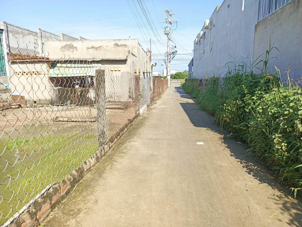 Bán lô đất cây trồng 3000m² Lâm Đồng mặt tiền bê tông - Ảnh thu nhỏ 2