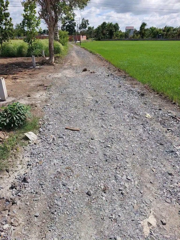 Bán lô đất tổ 5×25m (125m²) Mỹ Lệ, Cần Đước, Long An 600 triệu