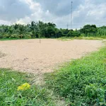 Bán đất vườn 1.650m² (600m² thổ cư) Đồng Tháp 4,2 tỷ - Ảnh thu nhỏ 4