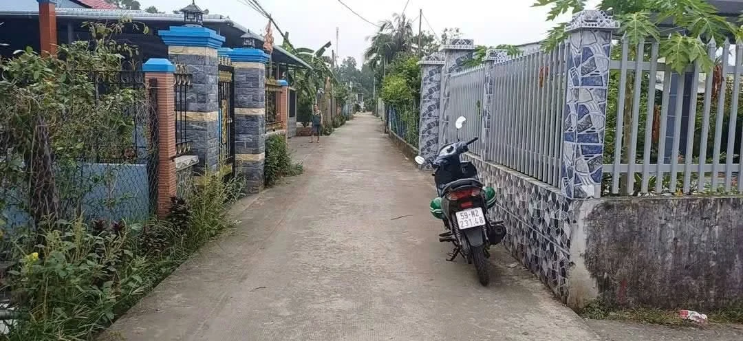 Bán đất nền 10×22m (220m²) ở Phước Văn, Long An - 1 tỷ 750 triệu - Ảnh thu nhỏ 2